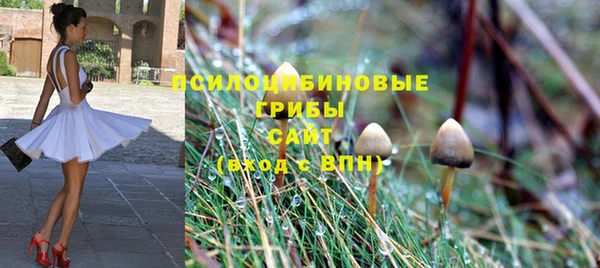 мяу мяу кристалл Арсеньев